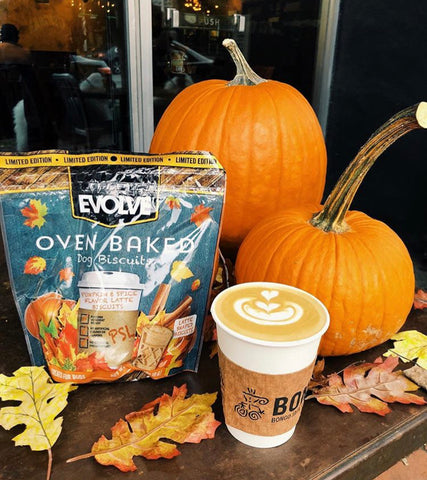 Pumpkin Spice Latte Dog Biscuits