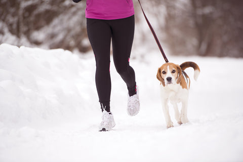 woman running on a snow trail with her beagle on a leash 