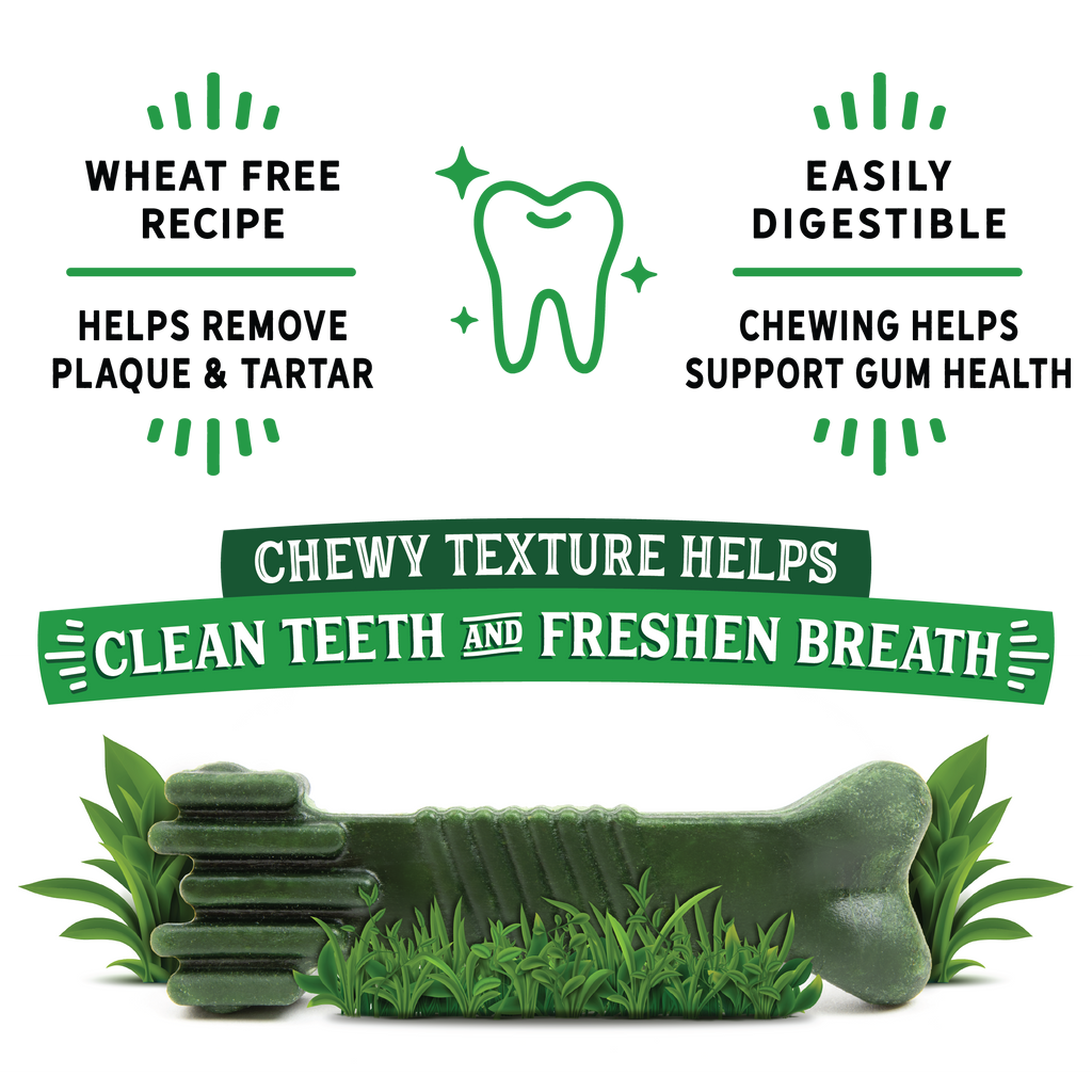 Dr. Dental Fresh Chews Small Dental Dog Treats 20ct