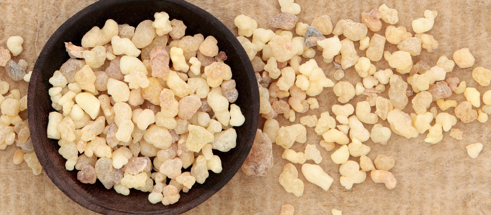 Frankincense resin before distilled into essential oil
