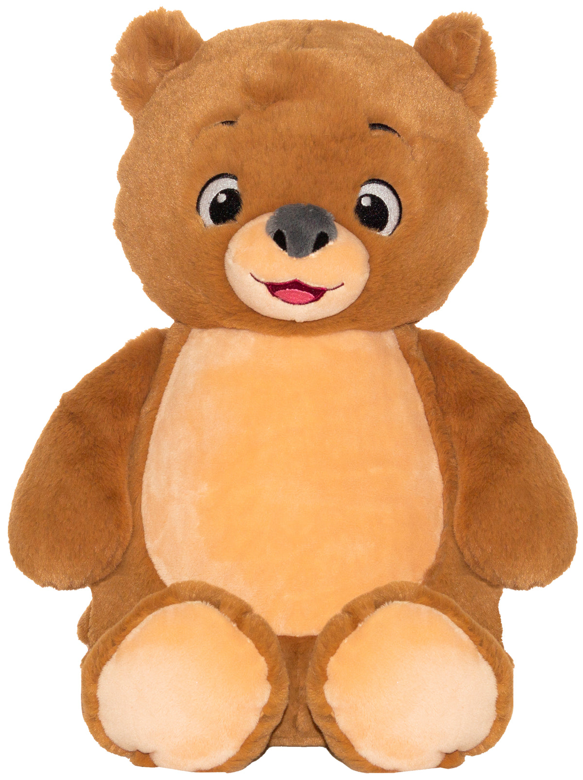 theodore teddy bear