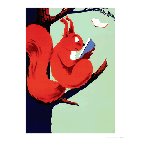 Squirrel reading in a tree 