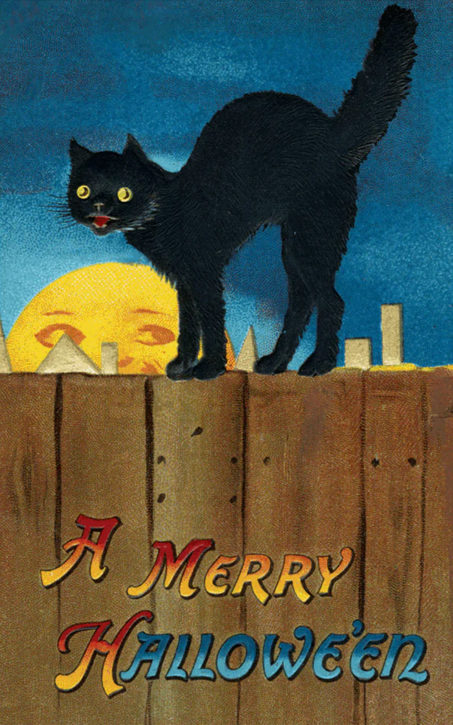 Black Cat on a Fence - Halloween Greeting Card