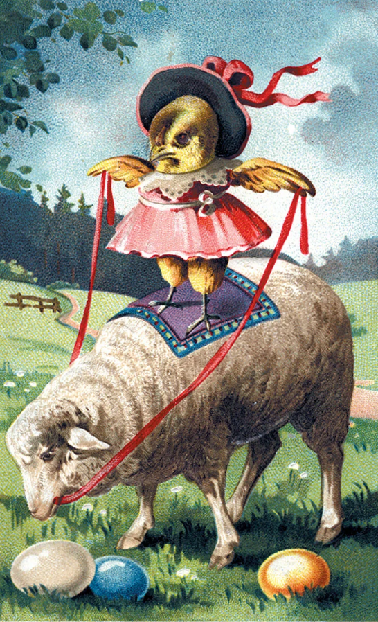 Chick Riding Sheep - Easter Greeting Card