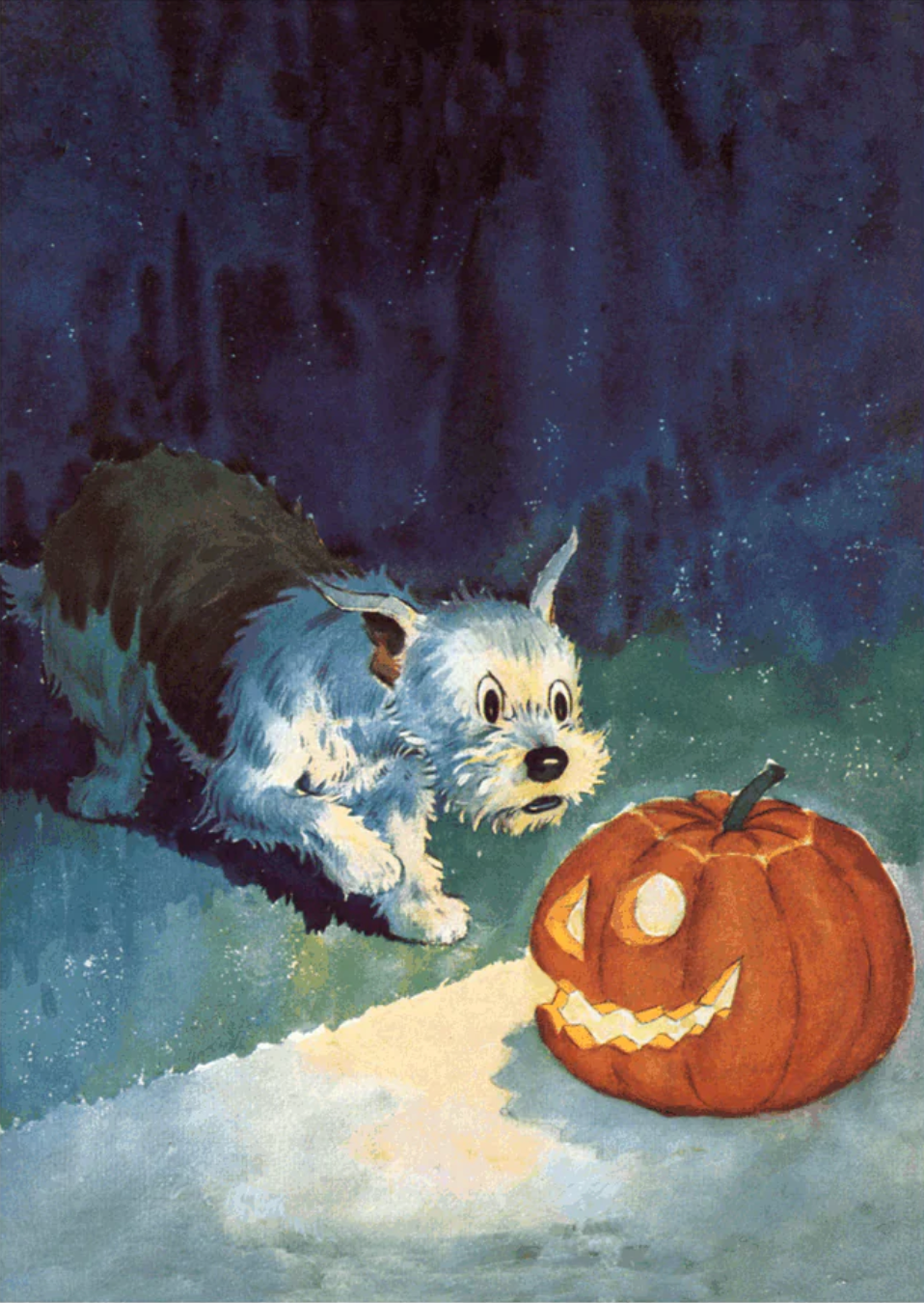 Dog and Jack-O-Lantern - Halloween Greeting Card