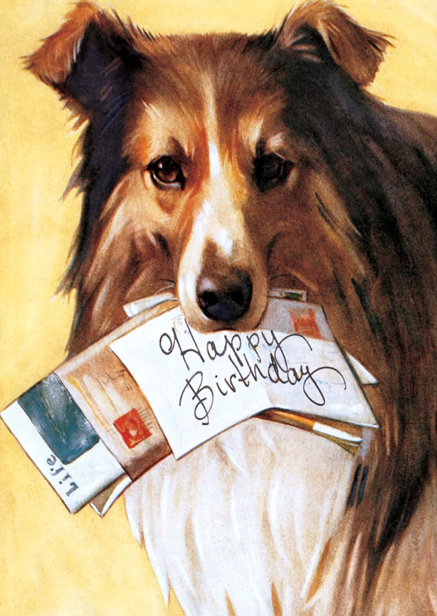 Dog with Mail - Birthday Greeting Card