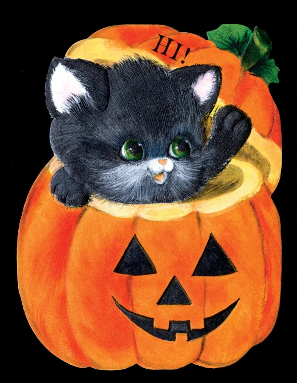 Kitten in Pumpkin - Halloween Greeting Card