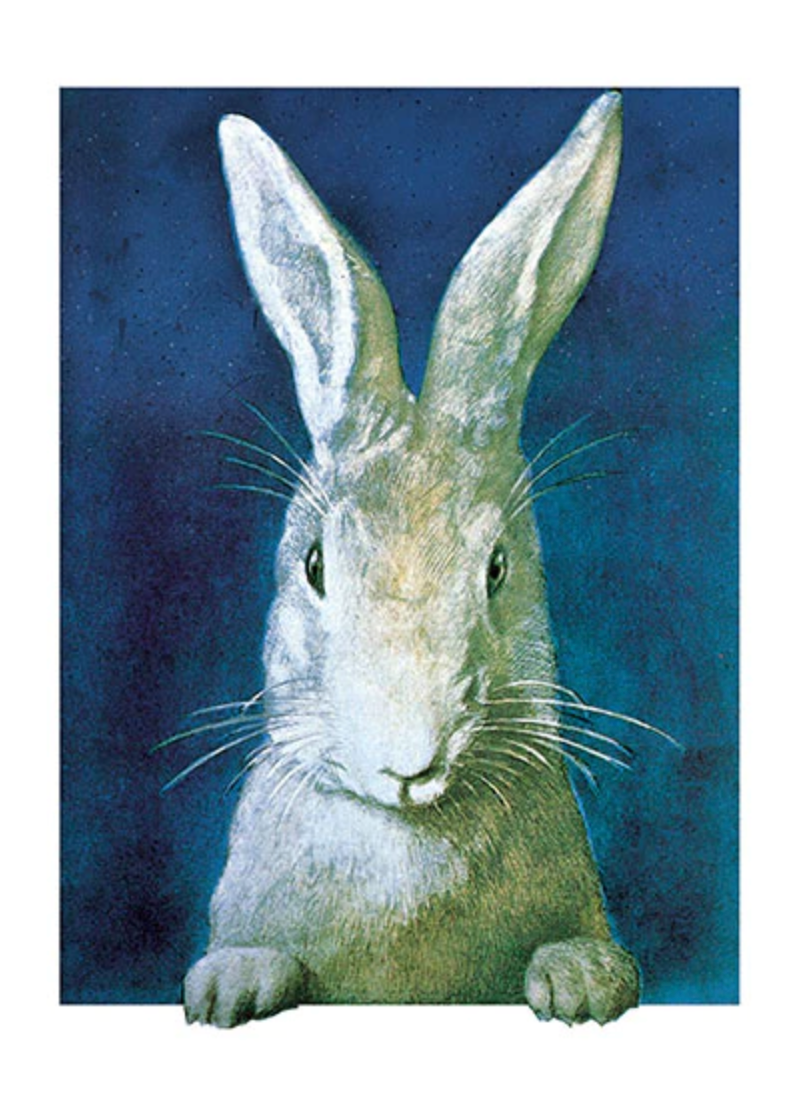 Rabbit Looking - Birthday Greeting Card