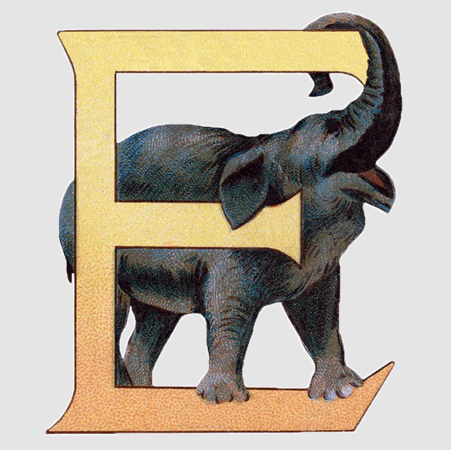 E Animal Alphabet - Everyday Sticker Box
