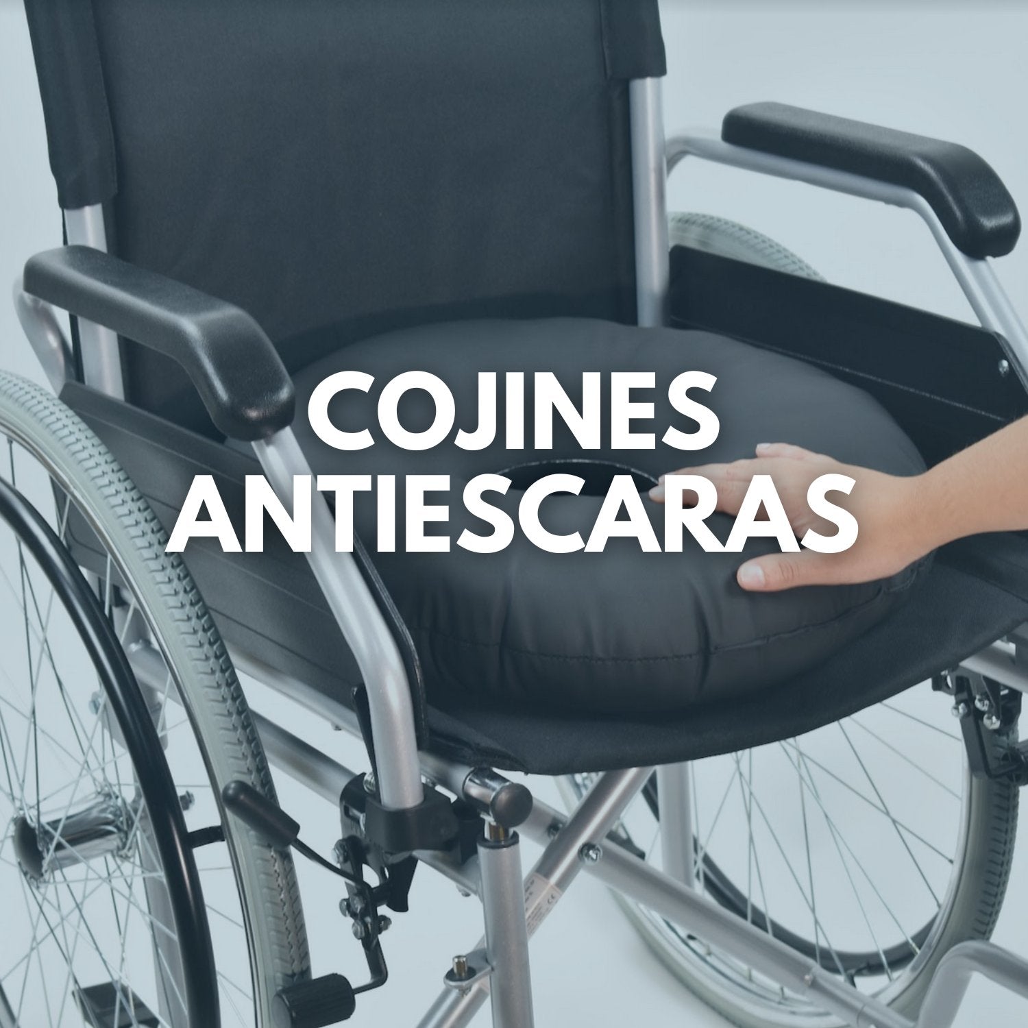 cojines antiescaras ortopedicos cojin coxis ulceras asientos escaras