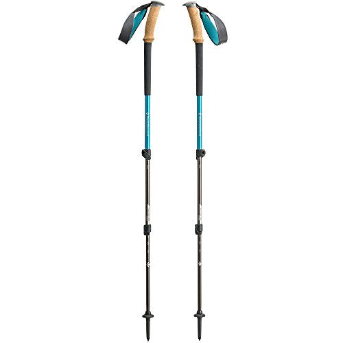 black diamond ergo cork trekking pole