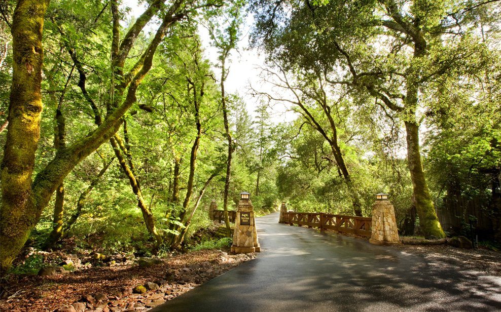 Lindsey & Steven’s whimsical wedding took place in Calistoga, CA. Would you like to be featured on #PPRealBride?