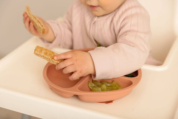 baby eating solid food on a silicone suction plate