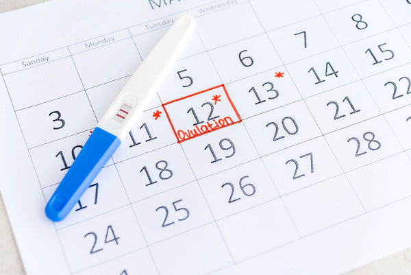 Positive pregnancy test with circling date in calendar. Planning of pregnancy, trying to have baby.
