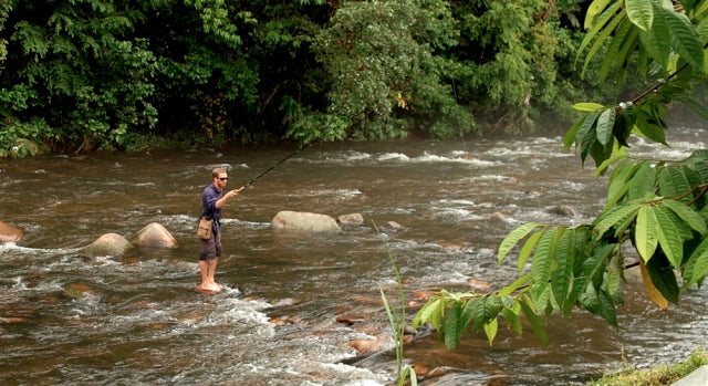 Tenkara fly fishing on small mountain stream