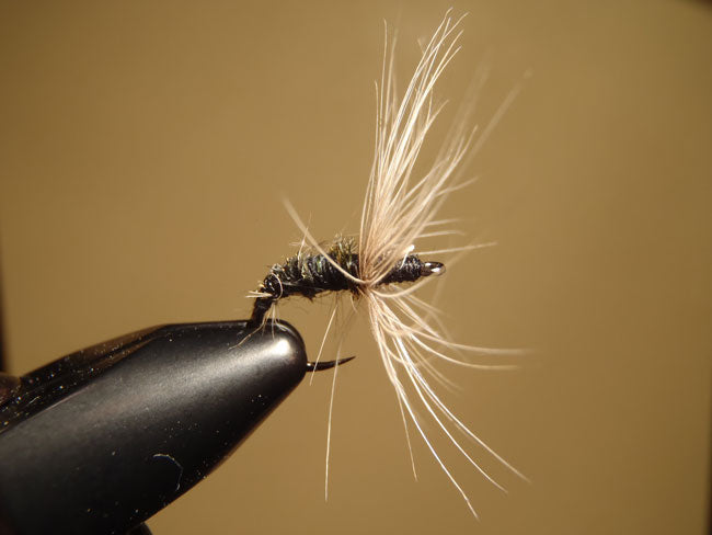 Peacock Ishigaki Kebari with light Hackle