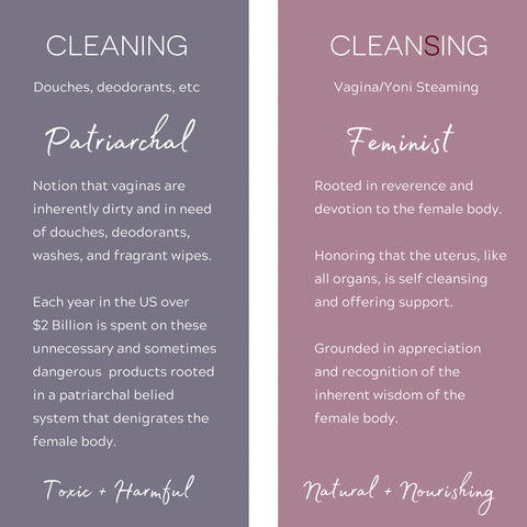 your vagina is not dirty: cleaning versus cleansing