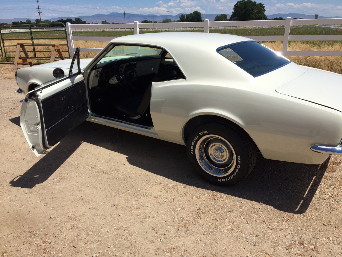 Painted Project Camaro