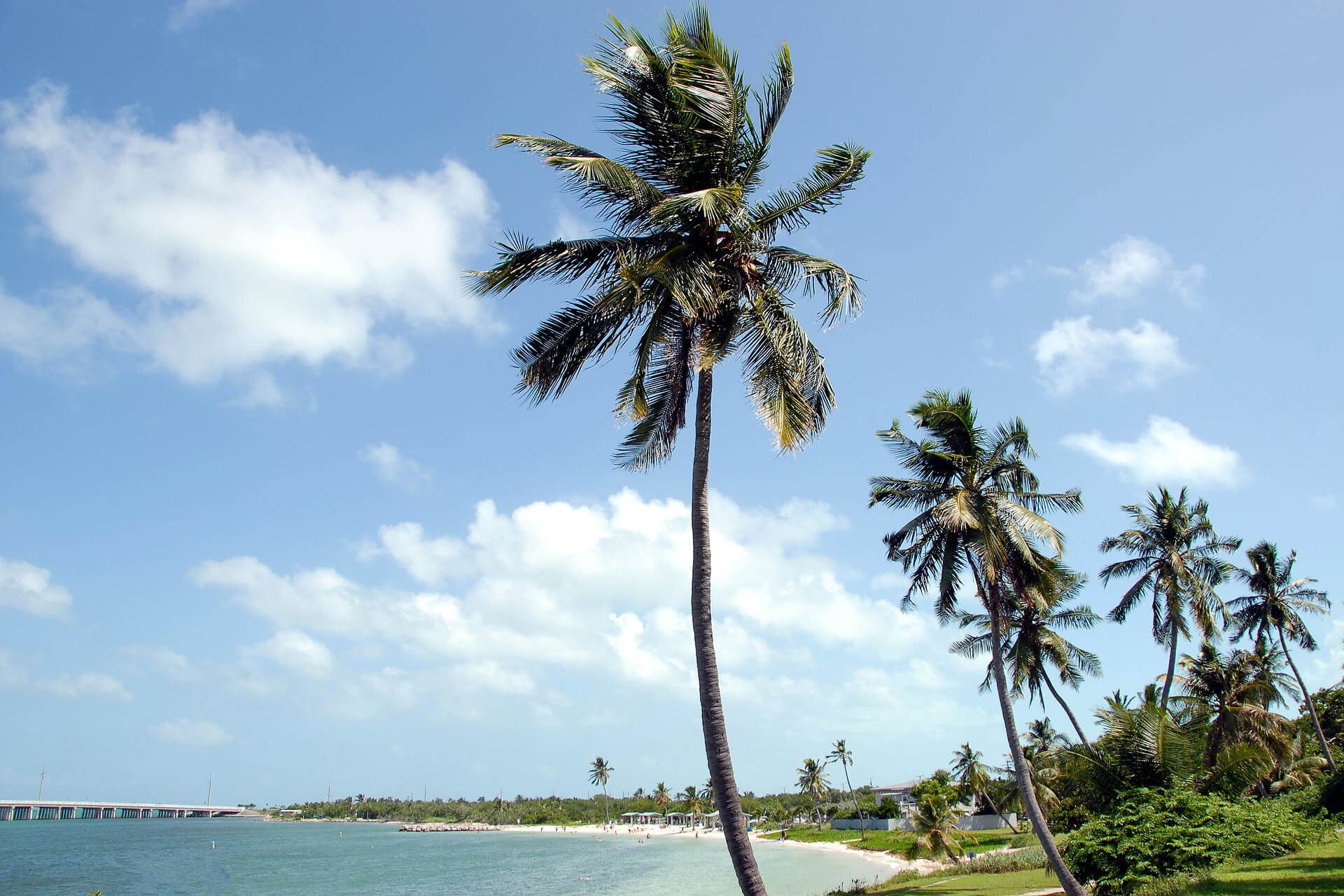 beach coastline