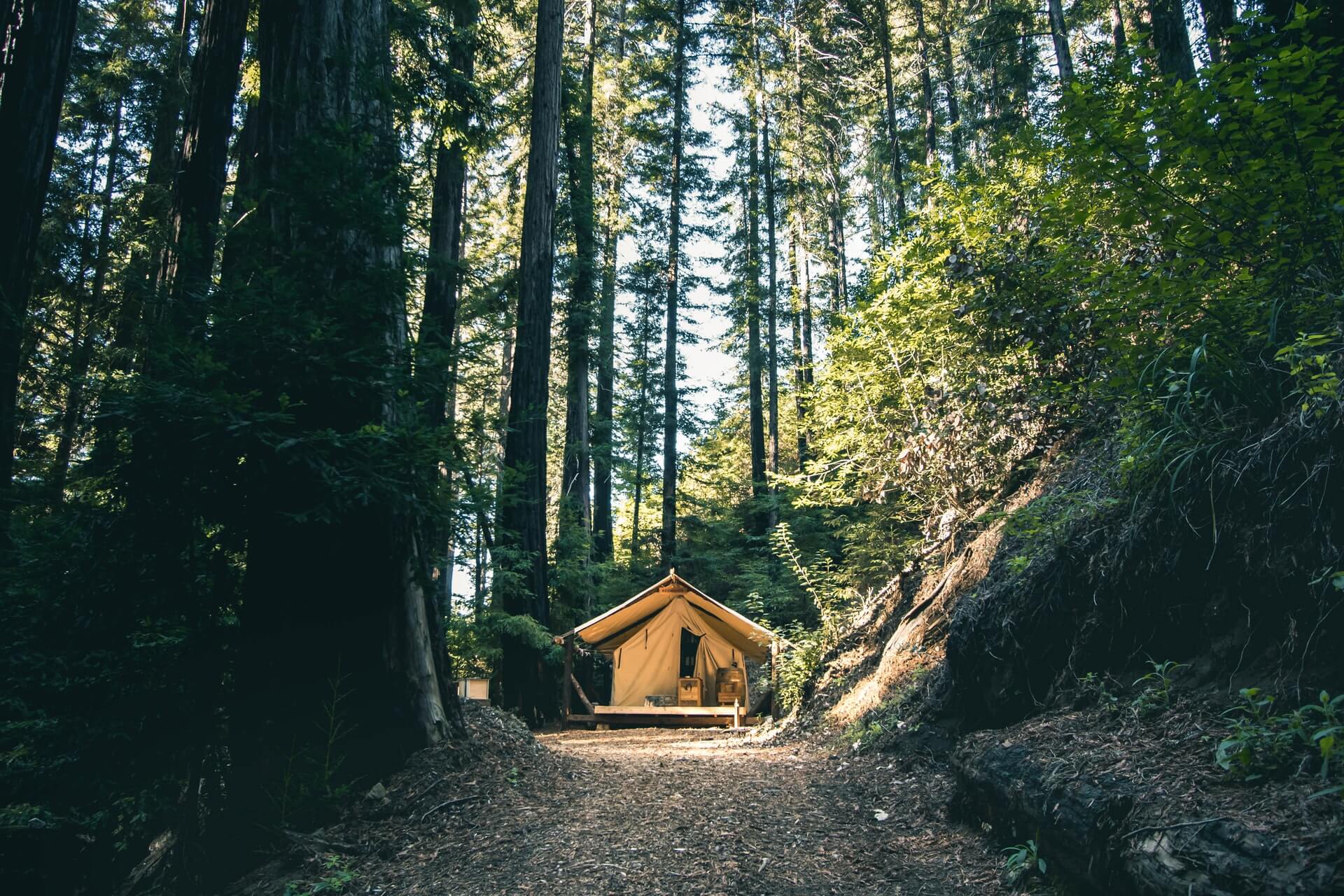 Ventana Big Sur camp site california