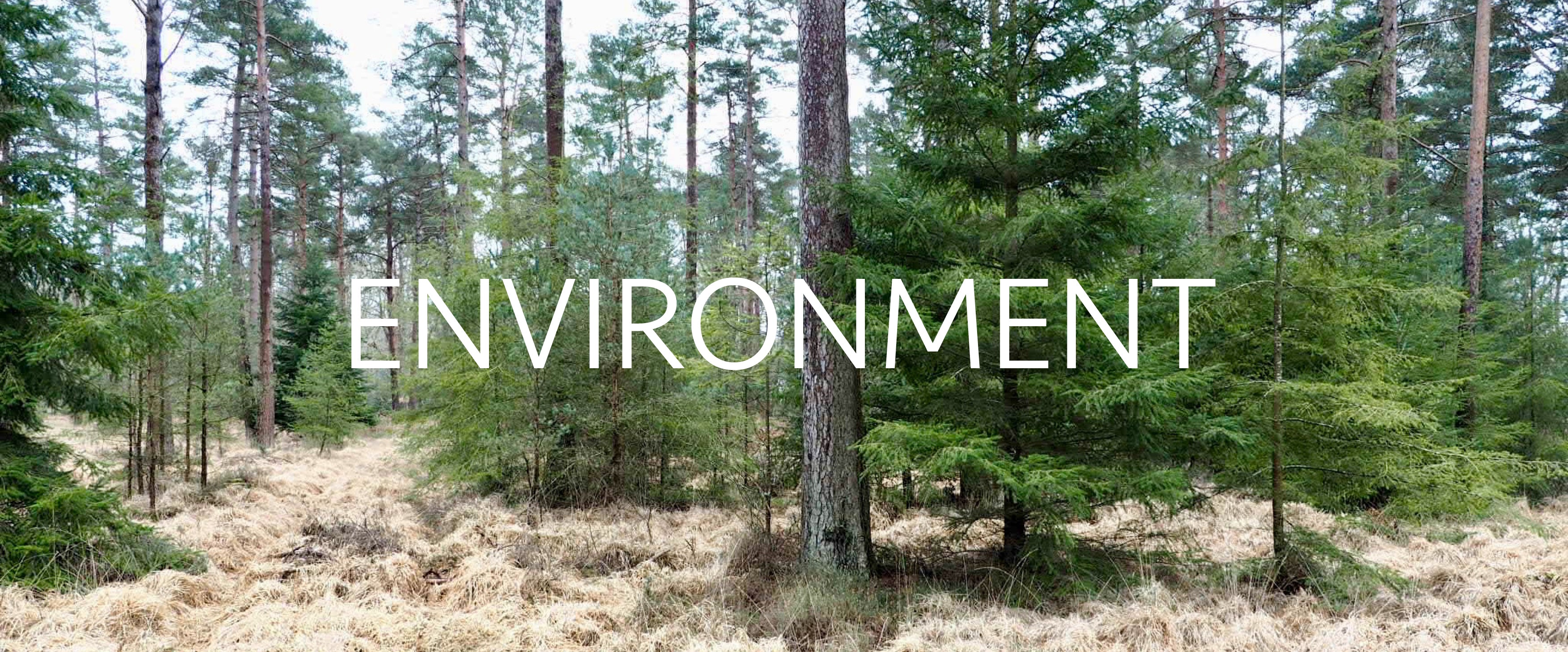 environment