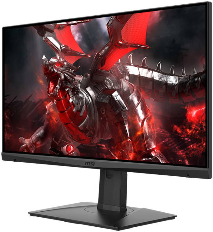 Twisted Minds TM25BFI 25'' FHD IPS Panel Gaming Monitor, 360Hz Refresh  Rate, 0.5ms Response Time, 16:9 Aspect Ratio, LED Backlighting, 100% sRGB,  Frameless, HDMI 2.0, Black