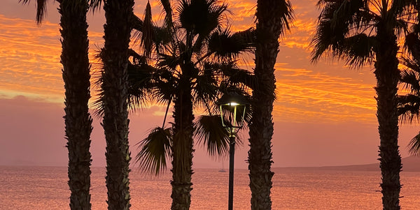 seascape and sunset with palms