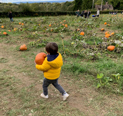 Tulleys Pumpkin Farm