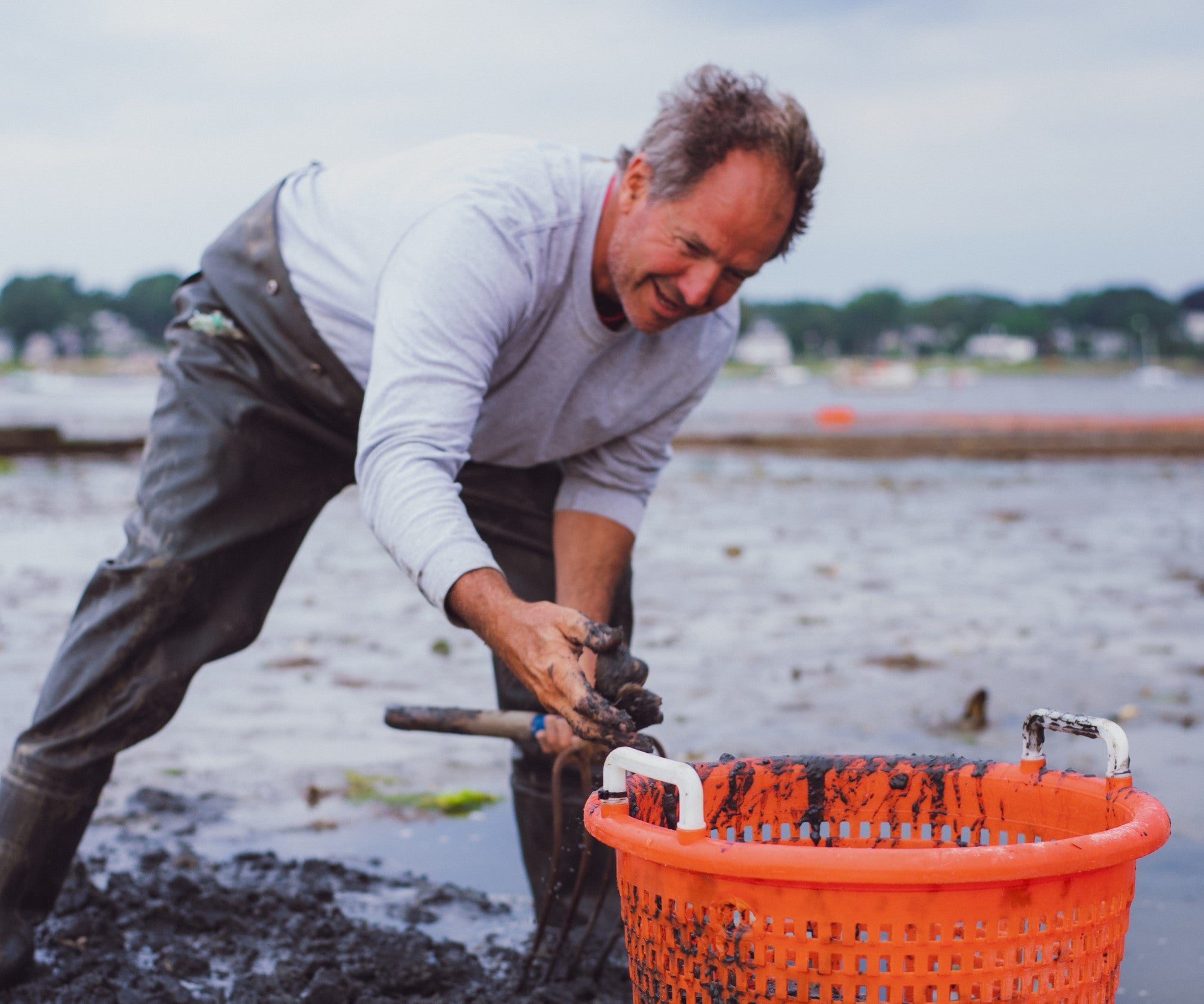 Island Creek Littleneck Clams from Duxbury, MA