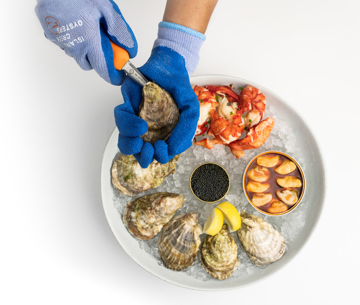Shucking Gloves — 401 Oyster Company