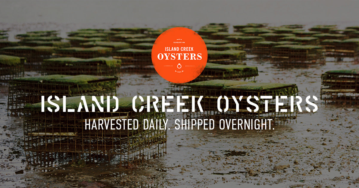 Island Creek Oysters | Buy Oysters Online