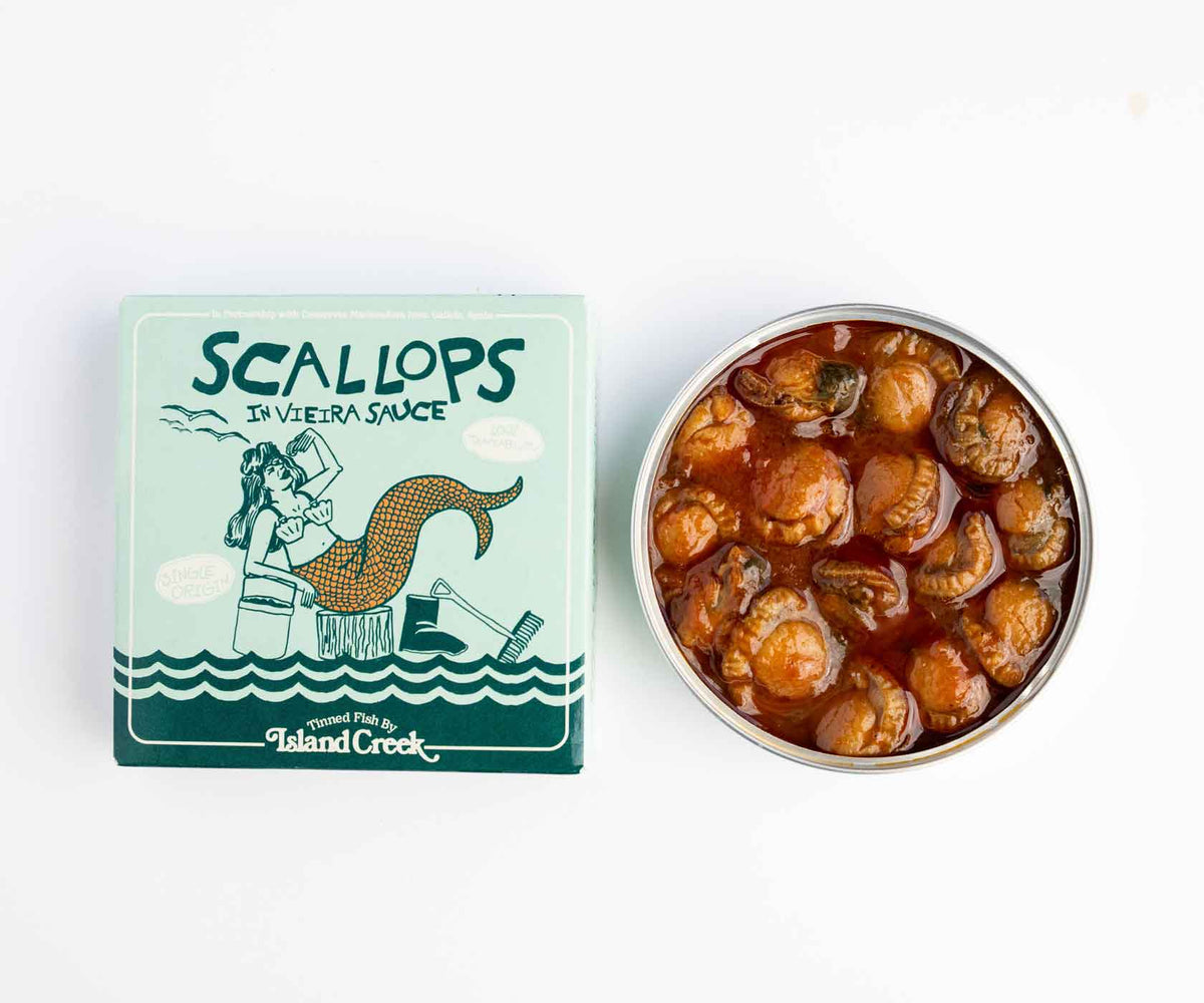 Live Maine Sea Scallops (in the shell) - Featured in the New York Times -  Currently Unavailable