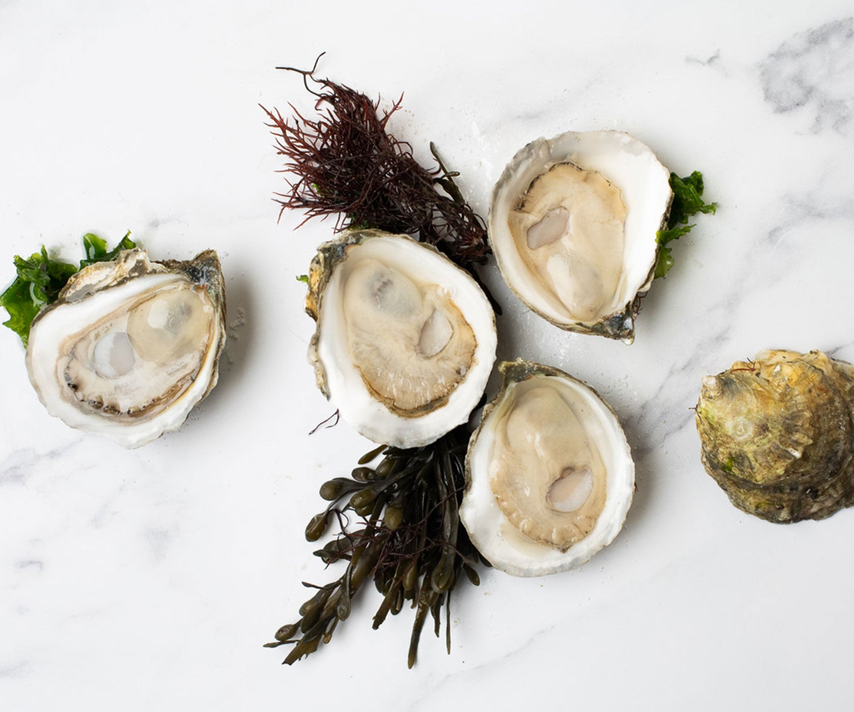 One Taste of These Miyagi Oysters and You Won't Want to Eat Seafood  Anywhere Else! (Best Oct-Mar) 