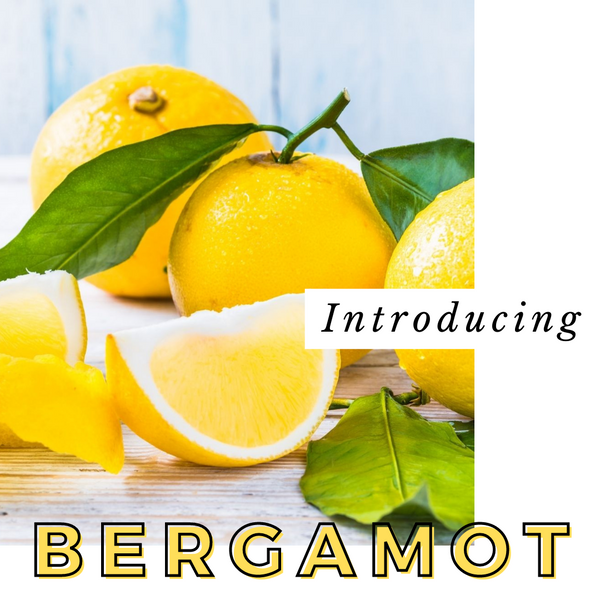 Introducing Bergamot