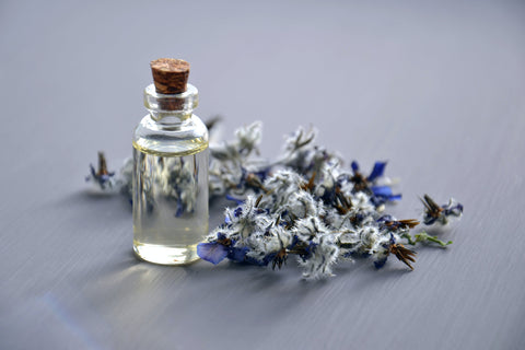 Fragrance History