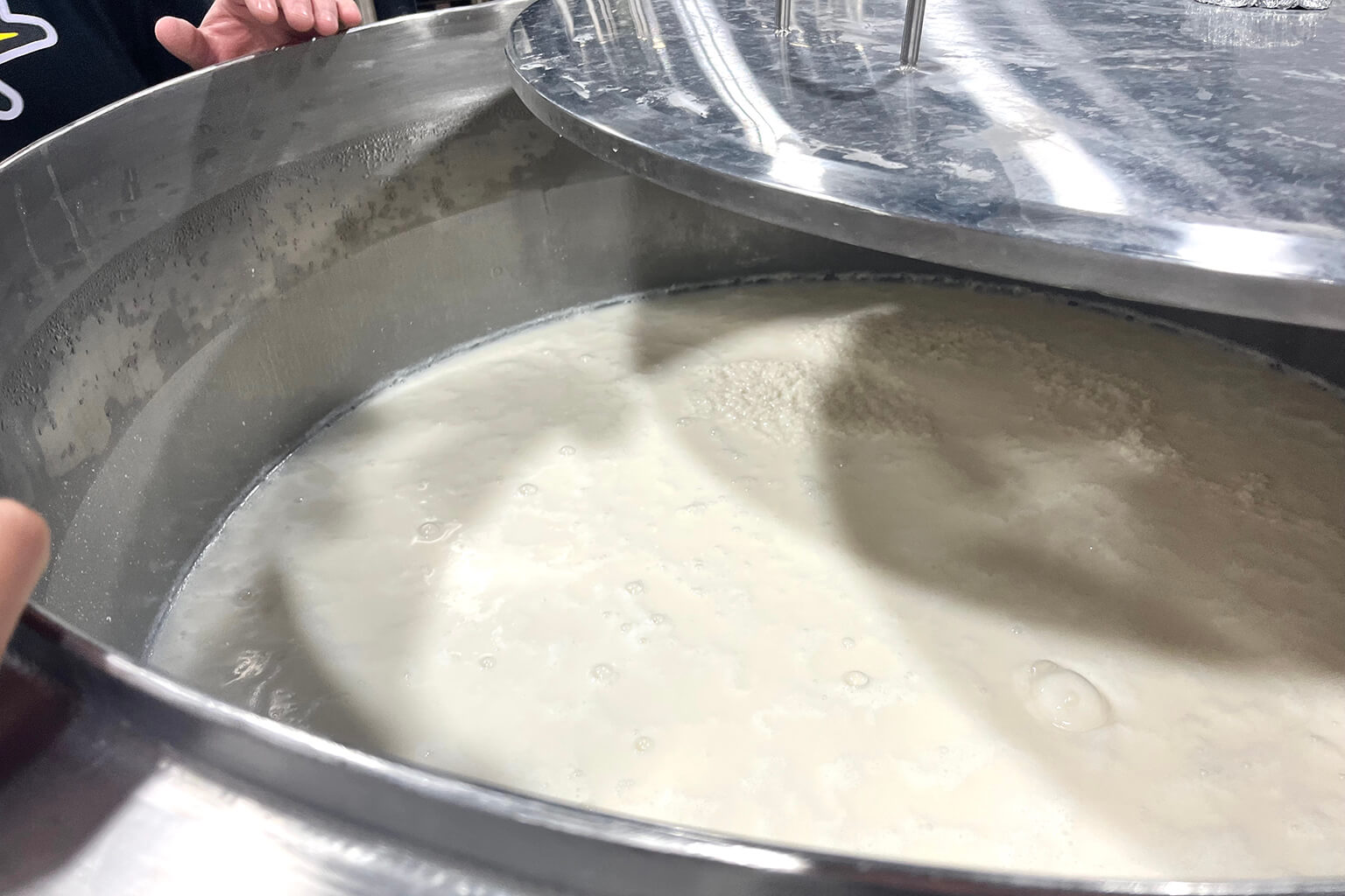 Sake mash for a small-batch kimoto sake bubbles as it ferments.