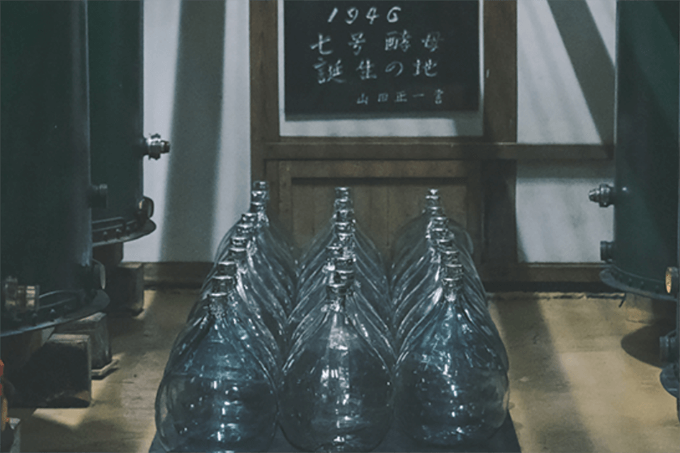 The origins of Association No. 7 yeast is enshrined within Miyasaka Brewing Company