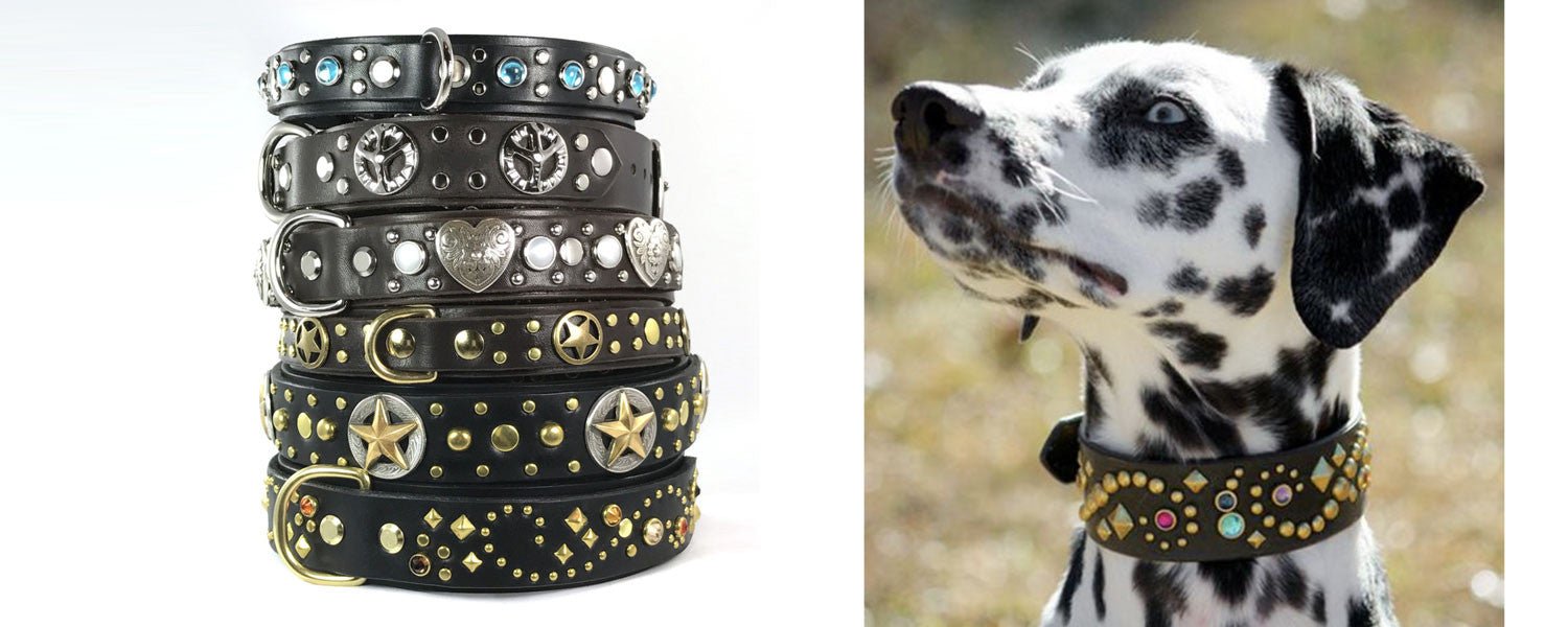 fancy leather dog collars