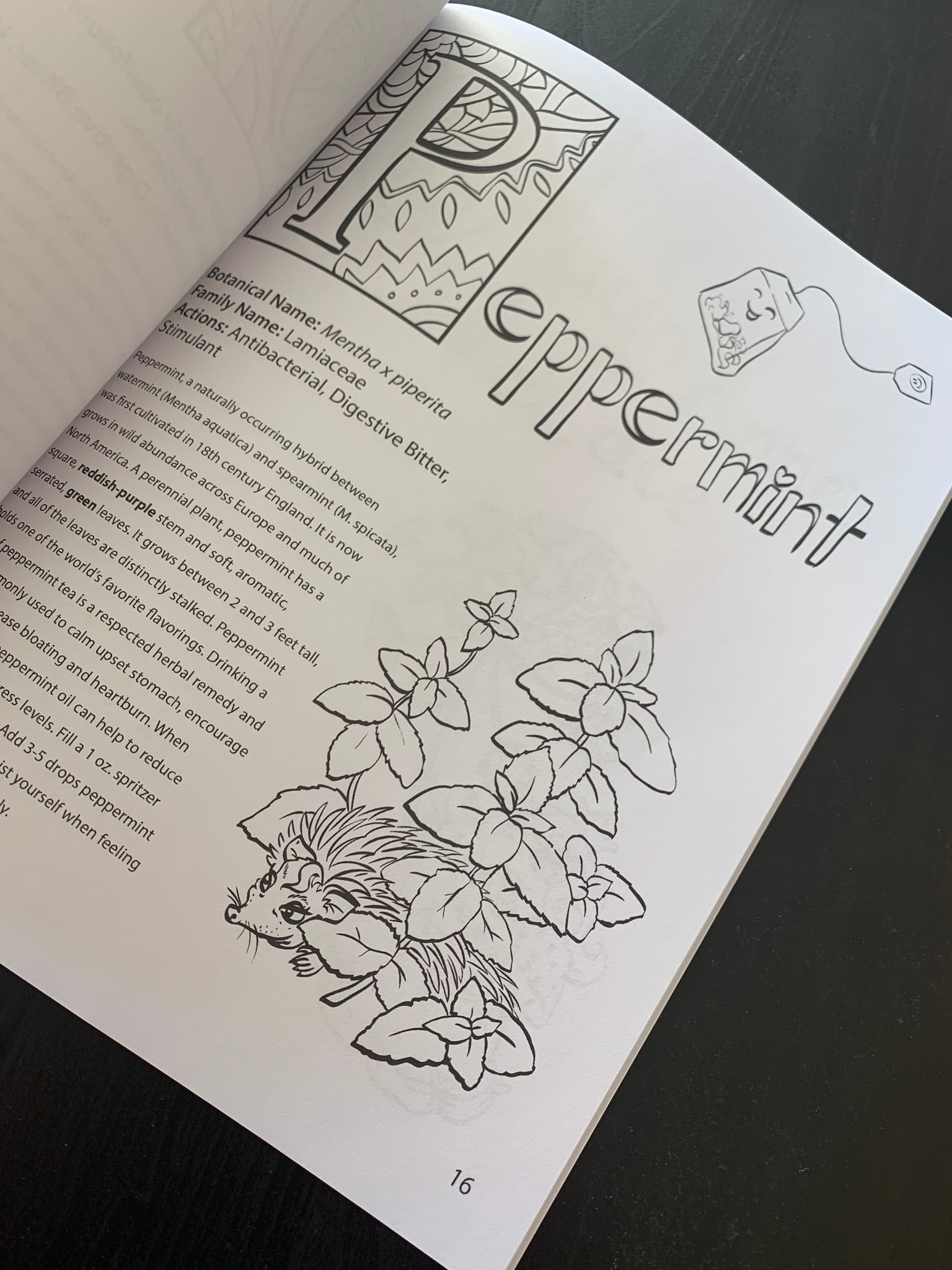 Download The Enchanted Herbarium Coloring Book Spirit Of The Herbs