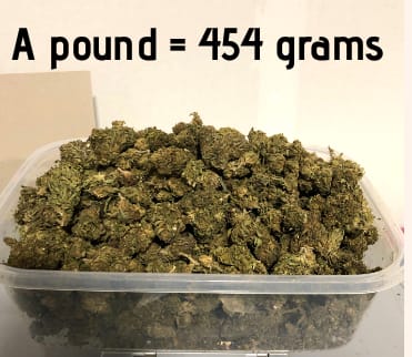 Try Plain Jane CBD products
