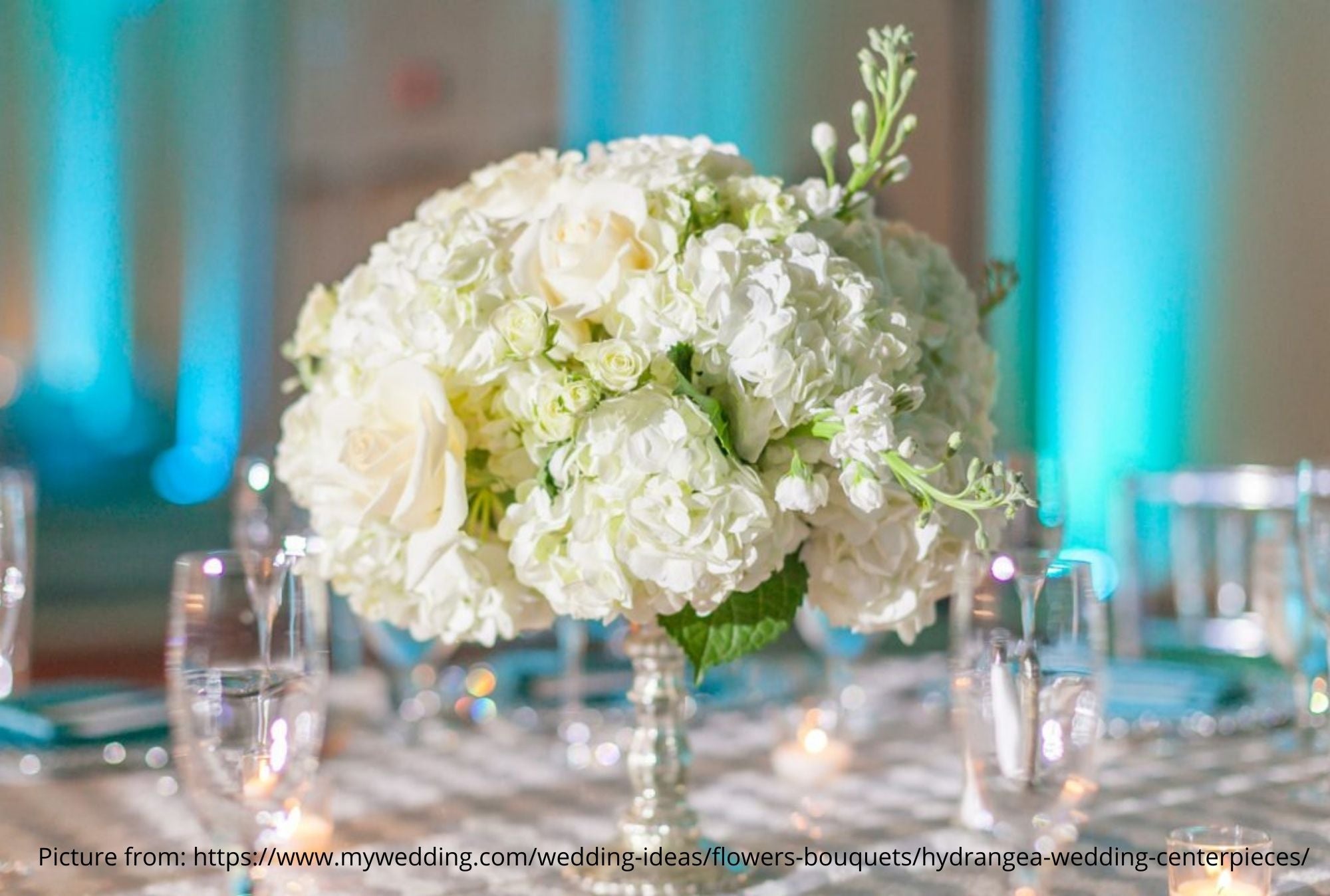 White and Green Hydrangeas for your Wedding