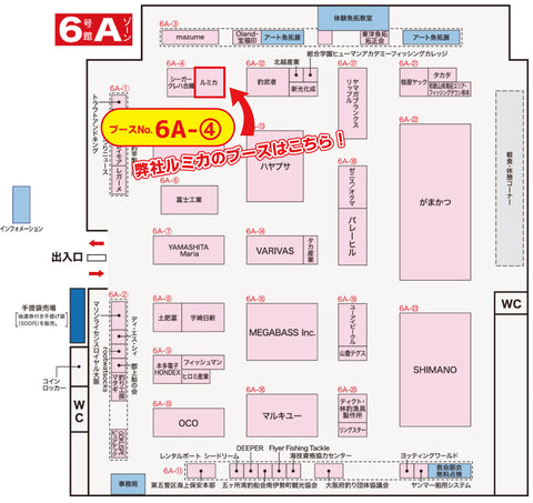 fs2020-map