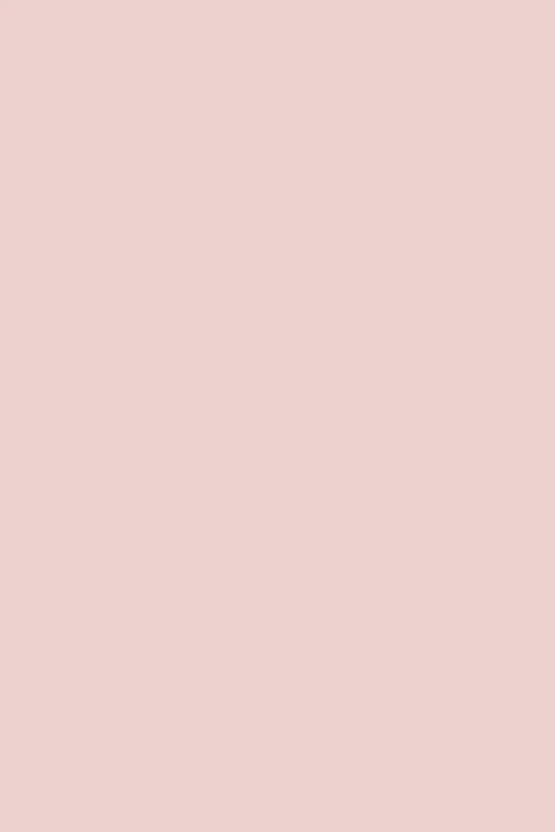(BACKORDER) The Mixer in Blush