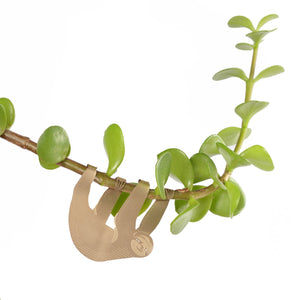 Plant Accessories by Another Studio – heyhappypuff