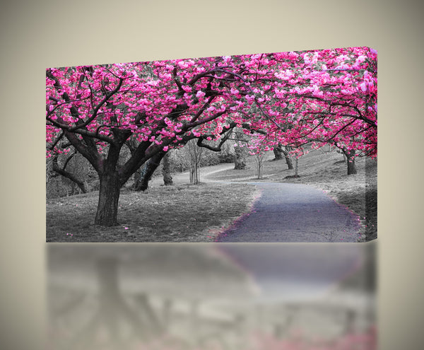 Pink Blossom Trees Canvas Print Giclee - Decalz.co