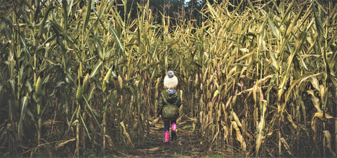 fearless girl in a corn field