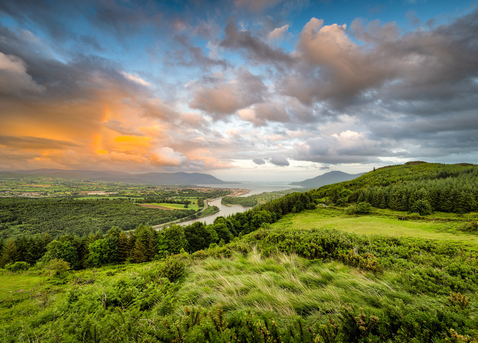 County Louth