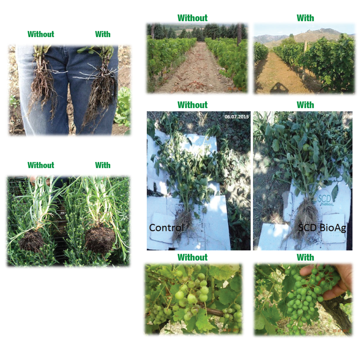 bioag comparison