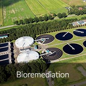 scdprobiotics-wastewater