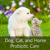 scdprobiotics-pets-care